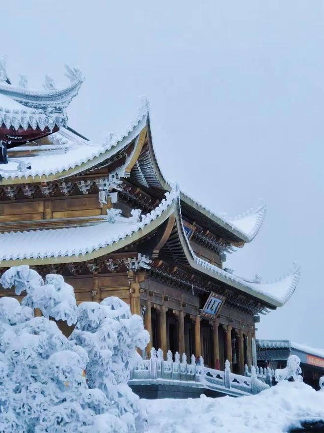 精品久久久久久中文字国产午夜 观众的国产眼睛是雪亮的