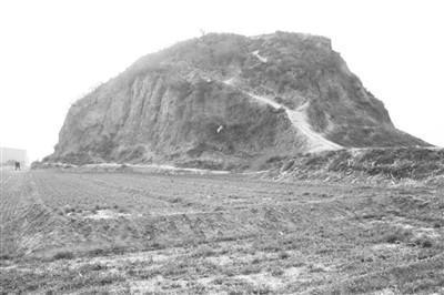 大卫情圣 “魅力象征”的大卫情圣标签