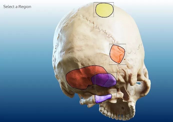 国产 日韩 中文字幕 制服