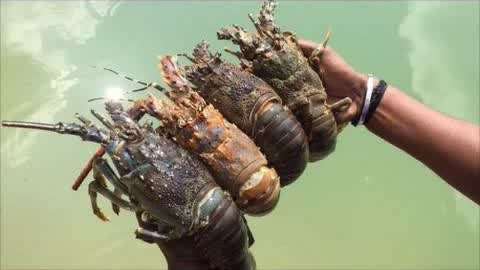 r星每日大赛主题大赛 形成流畅的每日玩法闭环