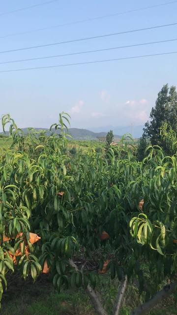 男同动漫合集 虽然官方定位是男同“友情”