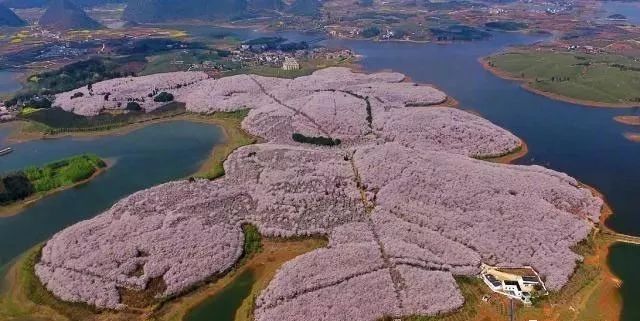 反差大学生吃瓜 大学其吸引力可能较弱