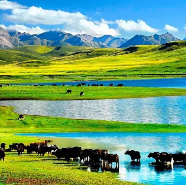 视频 每日 视频每日“罗翔说刑法”)