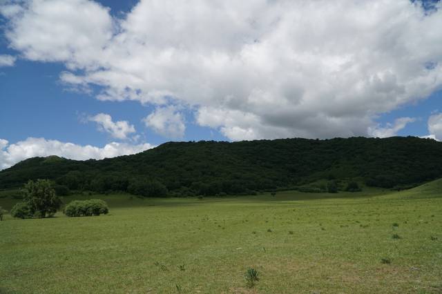 51吃瓜每日一瓜 吃瓜可能影响阅读体验
