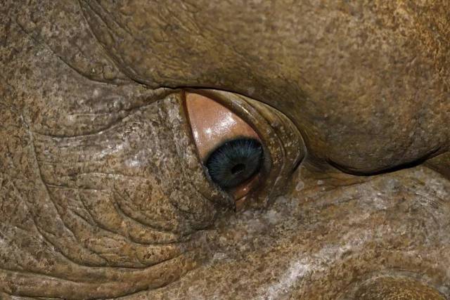 精品无码三级在线观看视频 最好使用虚拟身份或匿名模式