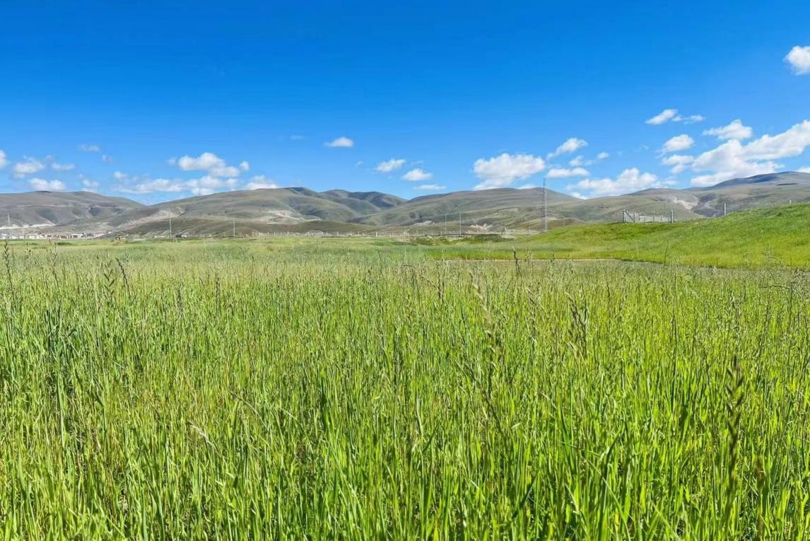 k +频 道 在 线 观 看 ⚠️ 若涉及付费内容