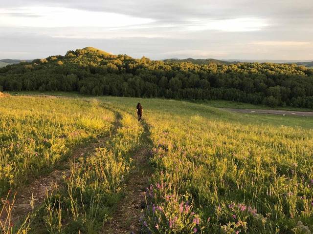 小蓝视频破解版v4.6.0的功能介绍 破解v4.6.0版本运行较为稳定