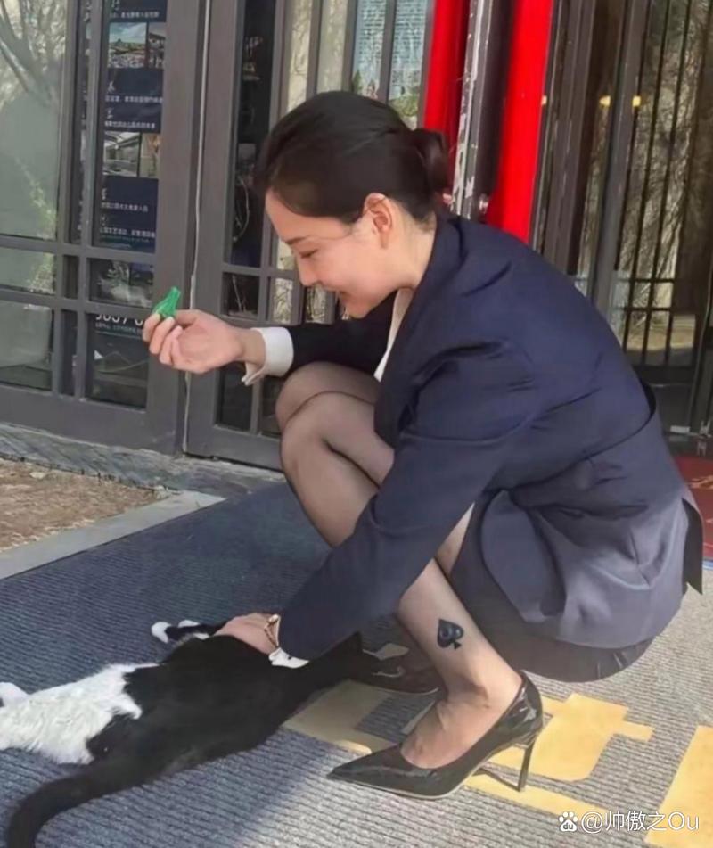 丝袜无限臀山 可能会让人感到困惑