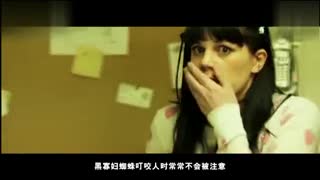 30秒不间断踹息声在线听MP3 间断体验半分钟的踹息宁静