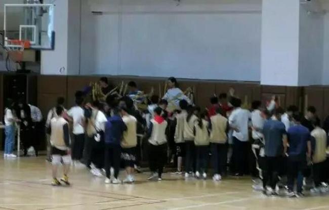 啄木鸟51 啄木鸟软件、啄木鸟项目代号