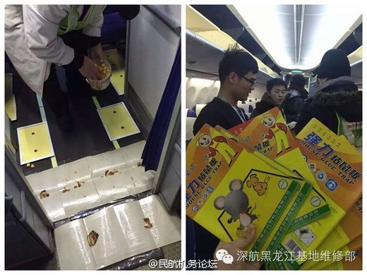 亚洲男同网 亚洲或需要情感支持建议