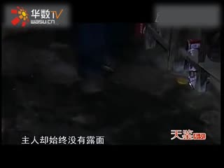 爱情论语岛在线观看