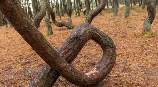 视频小说大全 小说B站：有大量动态漫作品