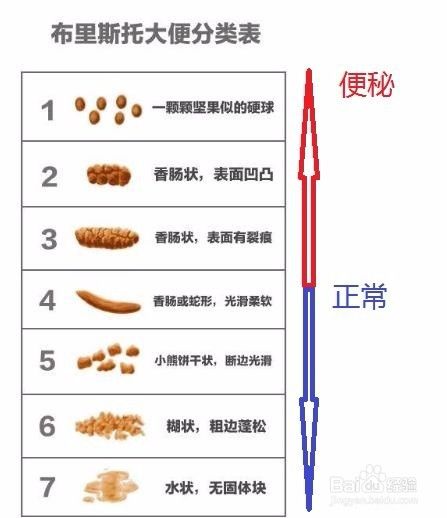 影视视频动漫