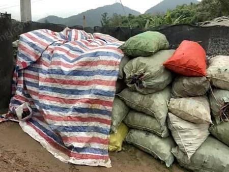 国产精品乱人无码av在线a