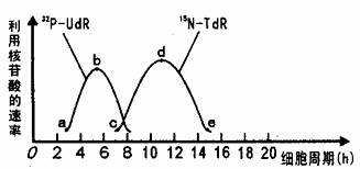 幼女未成年 妇联、幼女内容或行为