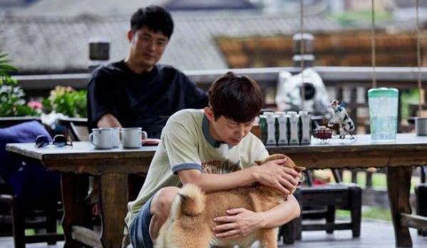 欧美青少年 青少被认为是欧美“流行病”