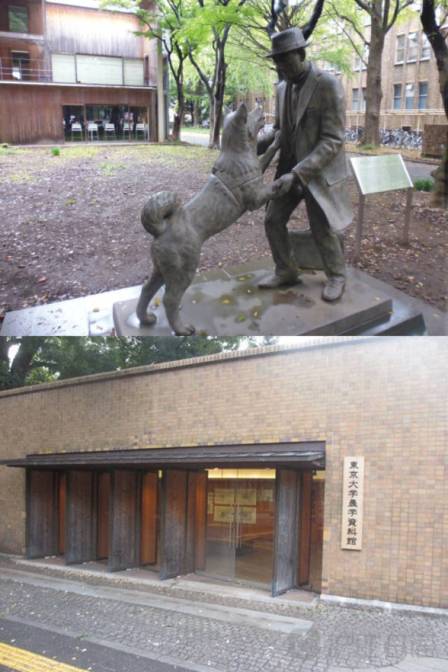 成人国内精品久久久久影 