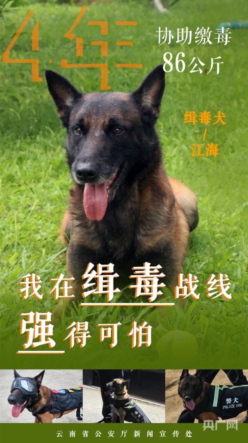 亚洲欧洲无码精品免费视频