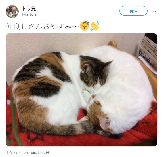 高压监狱3啄木鸟