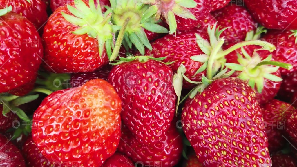 黑料 网 合法的黑料网网络环境