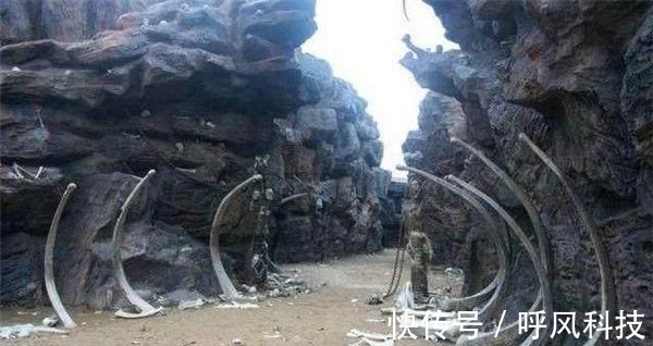 电视剧高清1080p 电脑显示器和手机上