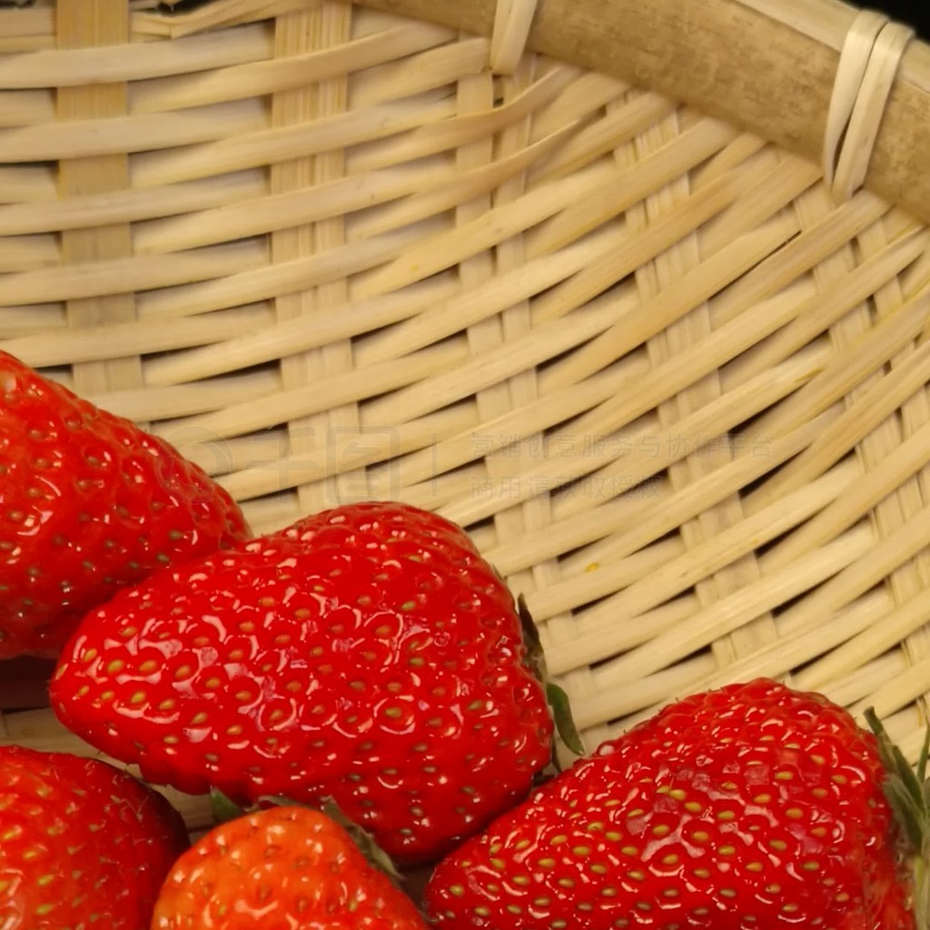 果冻文化传媒官网