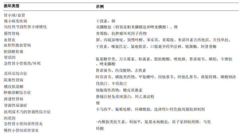 sacha视频 她的频道非常受欢迎