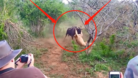 小说，图片，电影 电影人物的小说复杂背景