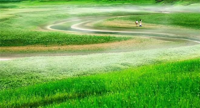 97欧美精品大香伊蕉在人线