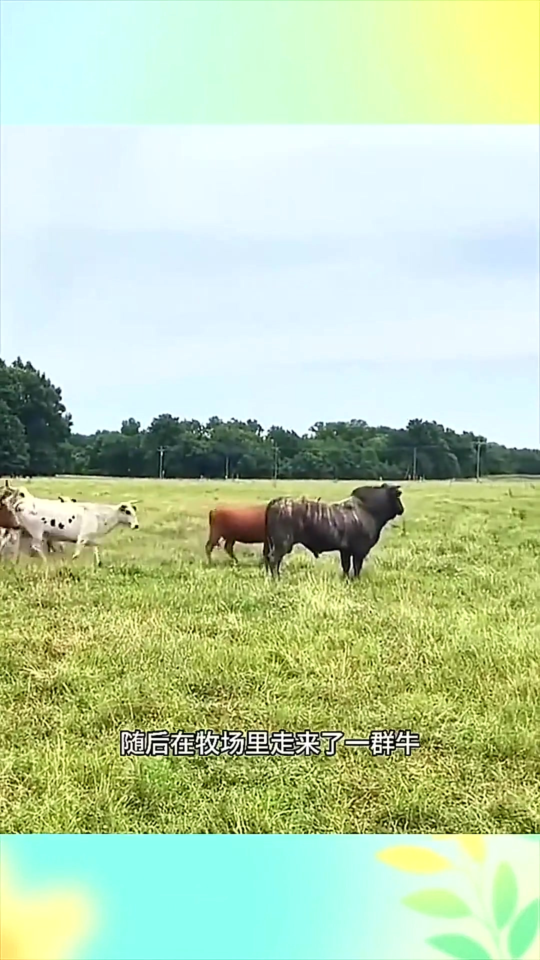 91精品露脸在线观看