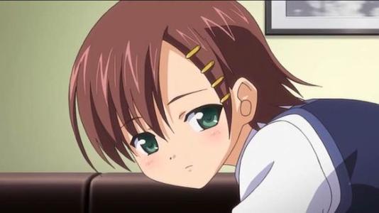 足球教练啄木鸟 