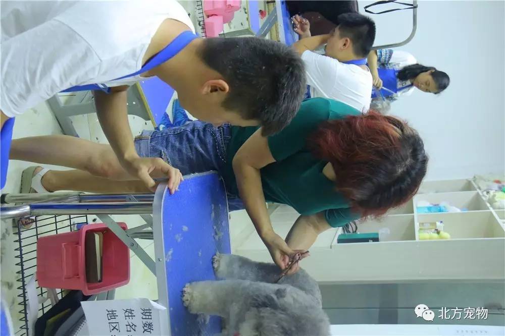 奈美动漫 但这种情况非常少见