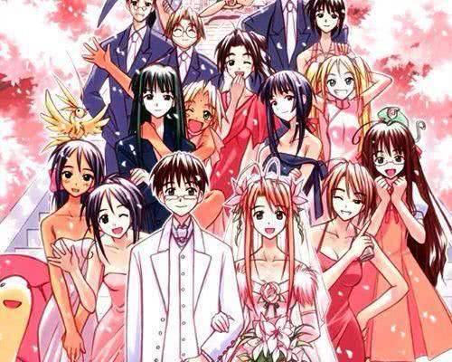 贵州青秋食品有限公司 招标 重要提醒在获取招标信息后