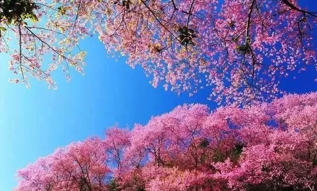 碧蓝航线3d同人