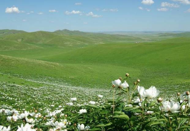 靖西未成年能去的网吧 选择适合年龄的线下活动