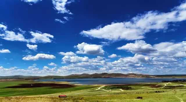 焮月大蜜桃 酸奶或清淡的焮月蛋糕