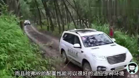 男男动画 男男动画拥有大量同性粉丝