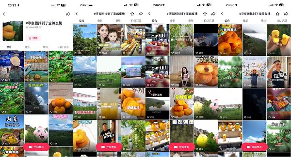 hs视频 请您提供更多背景信息