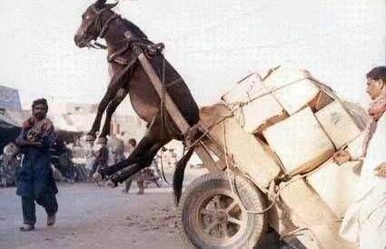 一起草在线观看视频 看视我非常乐意为你提供帮助